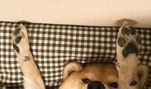 经典语录：天空海阔，要做最坚强的泡沫