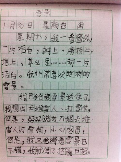 日记中有300个字