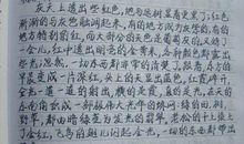 开学第一周作文