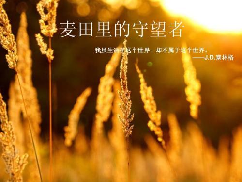麦田里的守望者