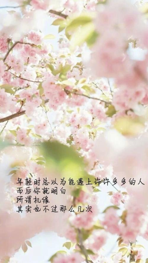 经典语录:因为我喜欢,所以我愿意