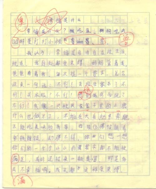 幸福的味道组成1000字