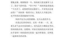 我最熟悉的人作文350字