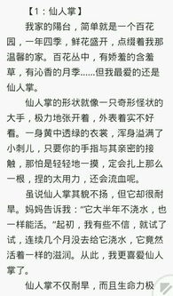 一篇400字的论文，借用东西来比喻人