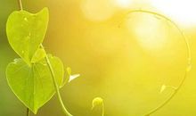 《勇敢承担爱与责任》观后感