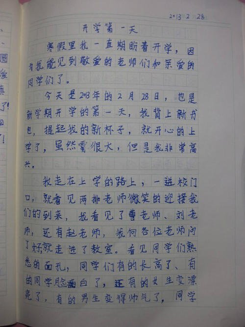 寒假最后一天的作文