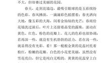 借物喻人的作文松树