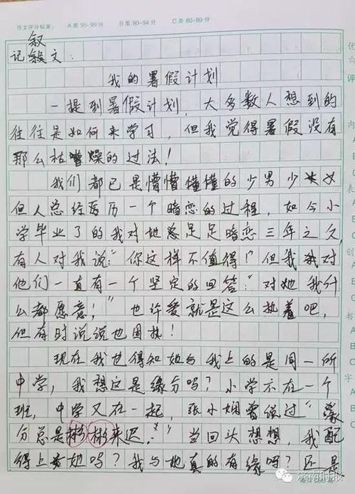 我懂六年级的作文