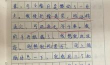 低碳环保作文400字