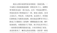 写家乡节日的作文