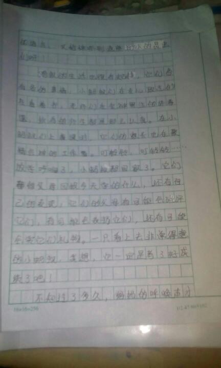 人和动物组成的400个单词