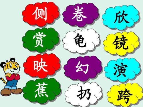 清晰的湖泊成分