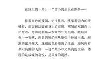 细微处见真情作文