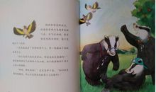 被风偷走的帽子读后感