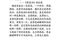 茶花女读后感2500字