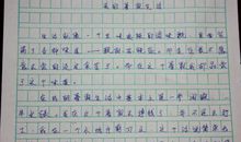 做生活的主角作文