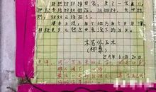 什么的泪水作文