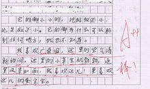 在爱的阳光下成长作文