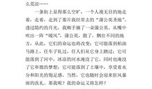 以牵挂为话题的作文600字