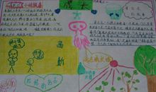 科学名人故事读后感