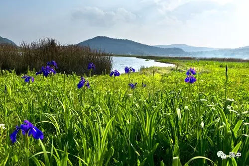 关于阅读《走进和谐的春天》的思考