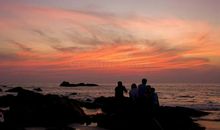 《海洋朋友》观后感