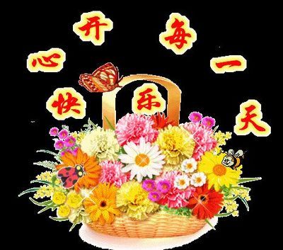 每天开心