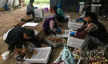 大学生励志：彩色缤纷的创业路