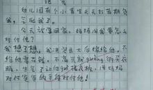 小学生写老师的作文