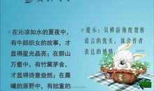 失根的兰花读后感