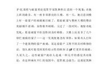 破窗理论读后感