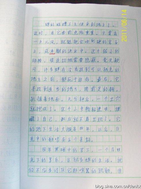 美丽的夏天作文600字