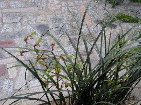 经典句子：什么是陶，云在蓝天中，水在瓶中