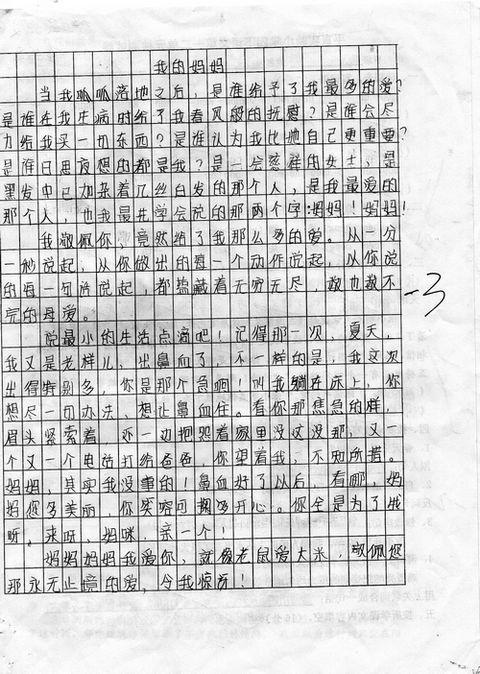 美丽的夏天组成