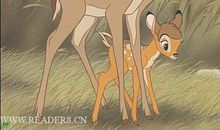 《小鹿班比》读后感