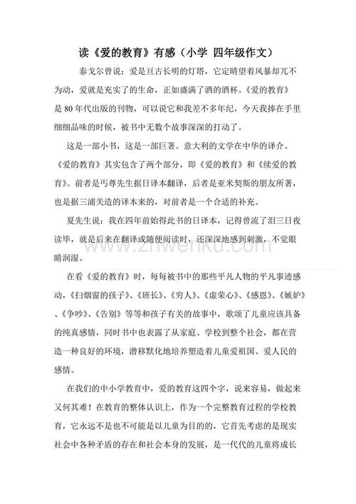 窗外的世界600字