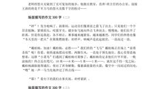 描写老师的作文300字