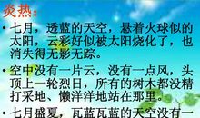 作文美丽的夏天