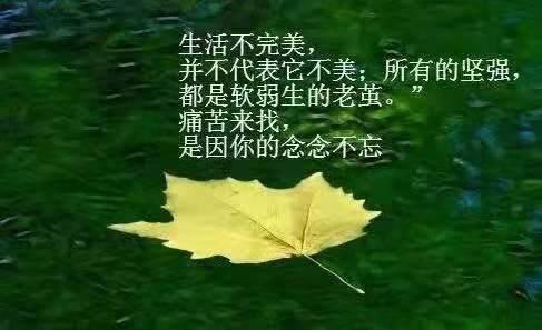 经典语录生活