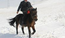 马背上的法庭观后感