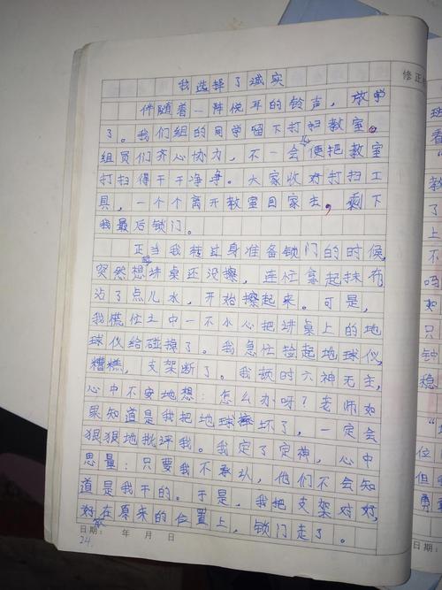 我选择的三年级作文