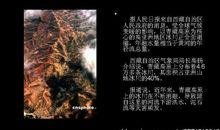 难以忽视的真相观后感