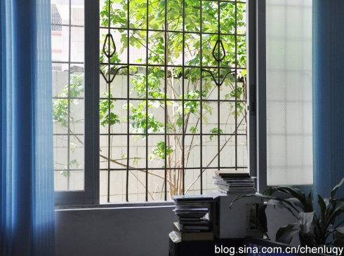 靠窗的树组成