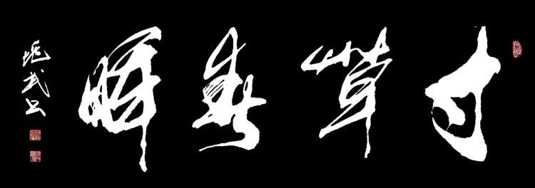 我沉默的父亲看完书后的感受