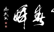 我的哑巴父亲读后感