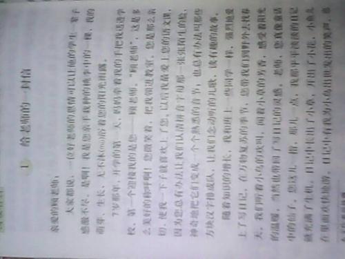 给老师的一封信500字