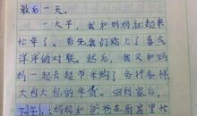 我的寒假作文100字
