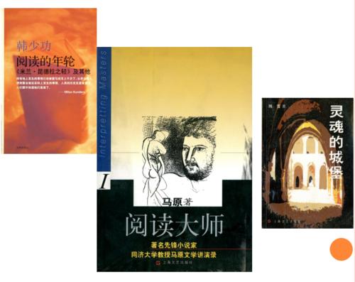 阅读鲁迅传记后的2,000字