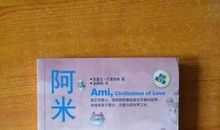 阿米星星的孩子读后感