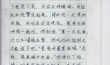 有趣的一天作文